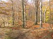 Podzimní procházka zříceninou hradu Oheb.